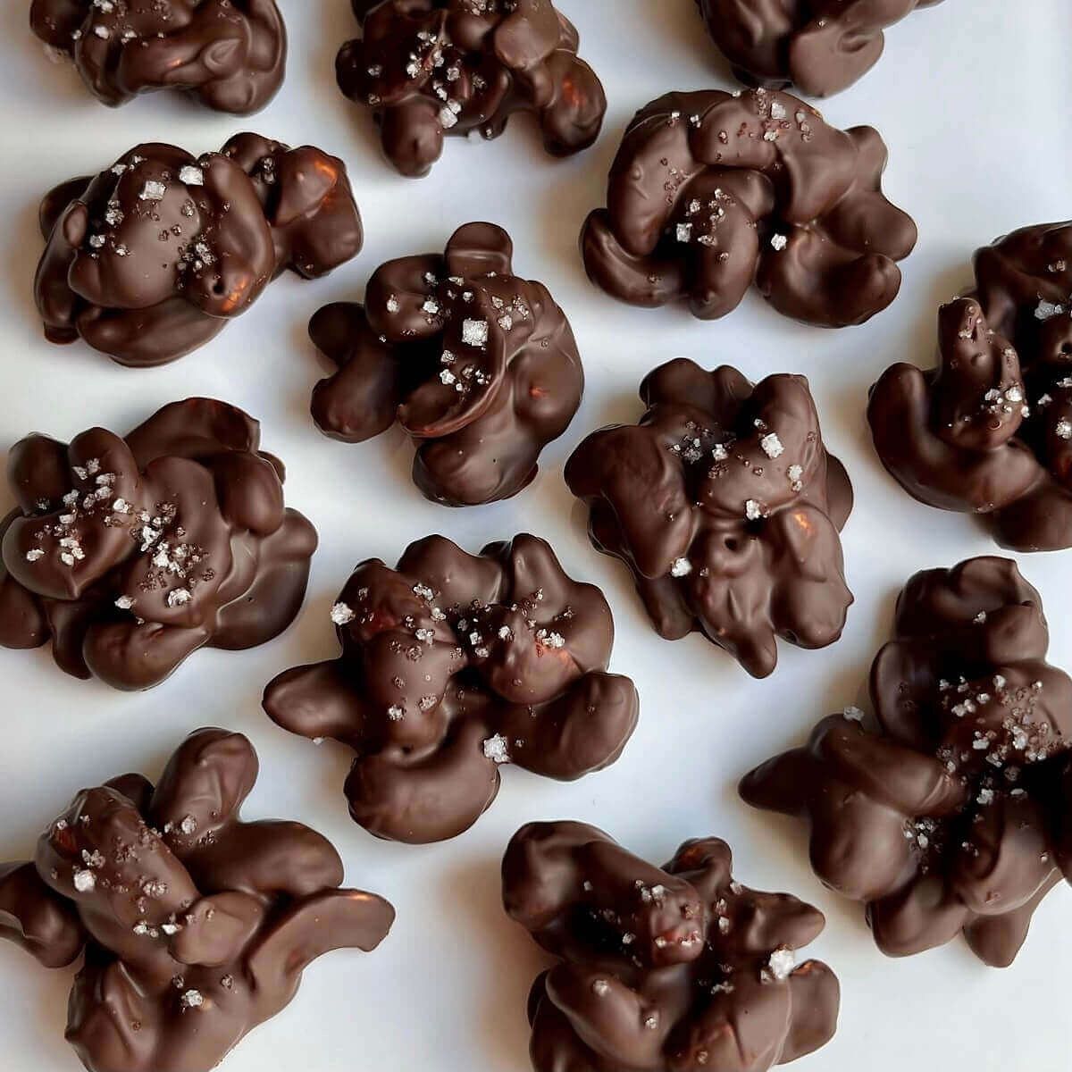 Chocolate Nut Bites